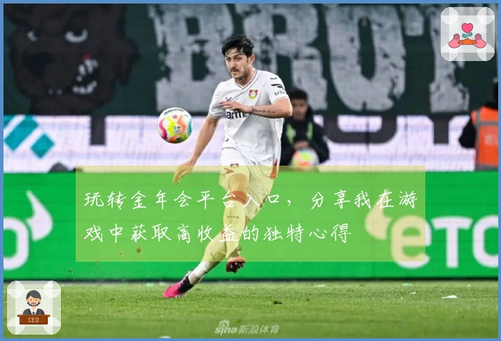 玩转金年会平台入口，分享我在游戏中获取高收益的独特心得